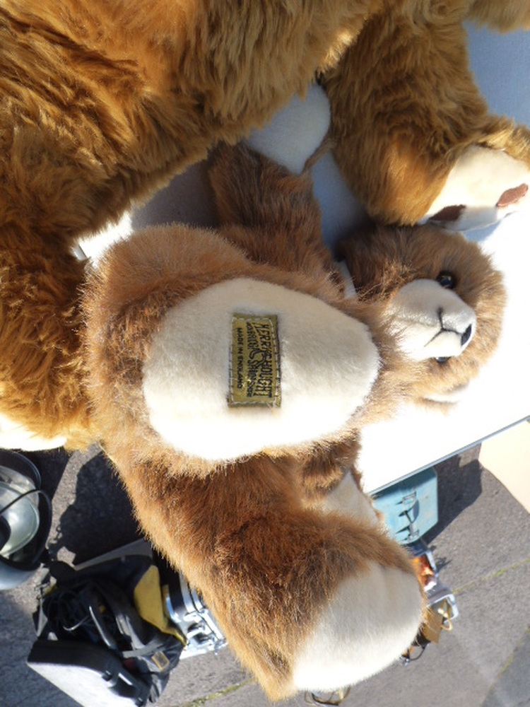 Wellington Self storage auction IB-7971 34