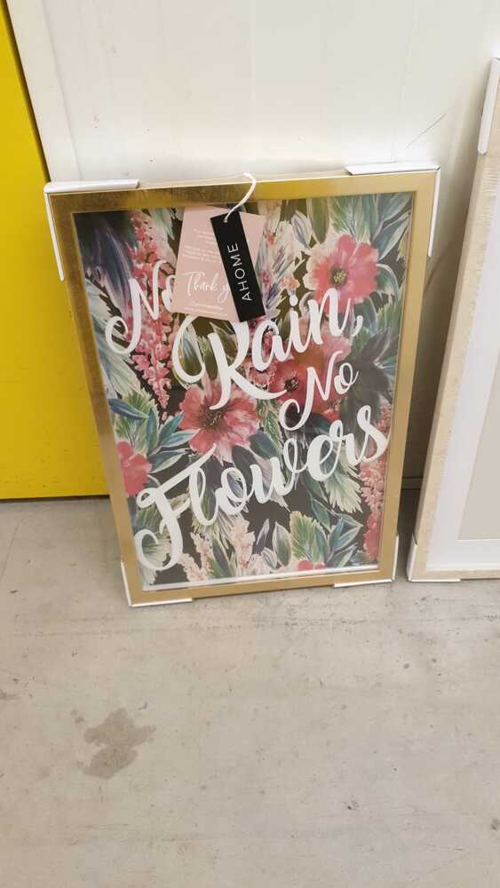 Kangaroo Self Storage - Glasgow Storage auction IB-5313