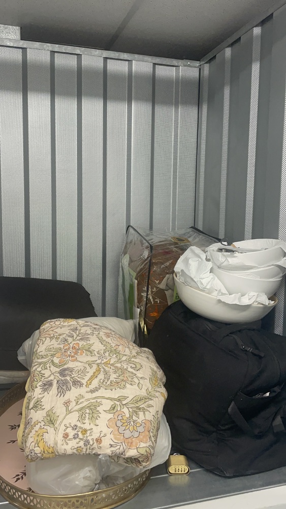 Battersea storage facility unit auction IB-6064