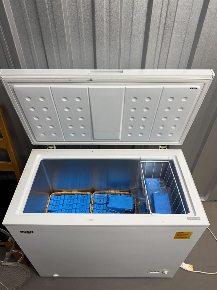 Magenta Self Storage Storage Facility auction IB-8208