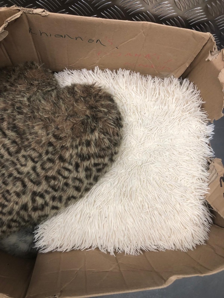 Orpington Self storage auction IB-6888 44
