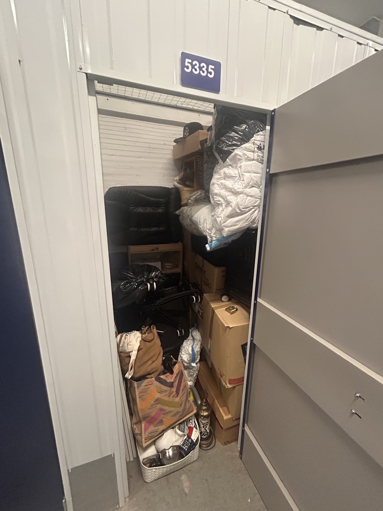Hornsey Storage Unit auction IB-3806