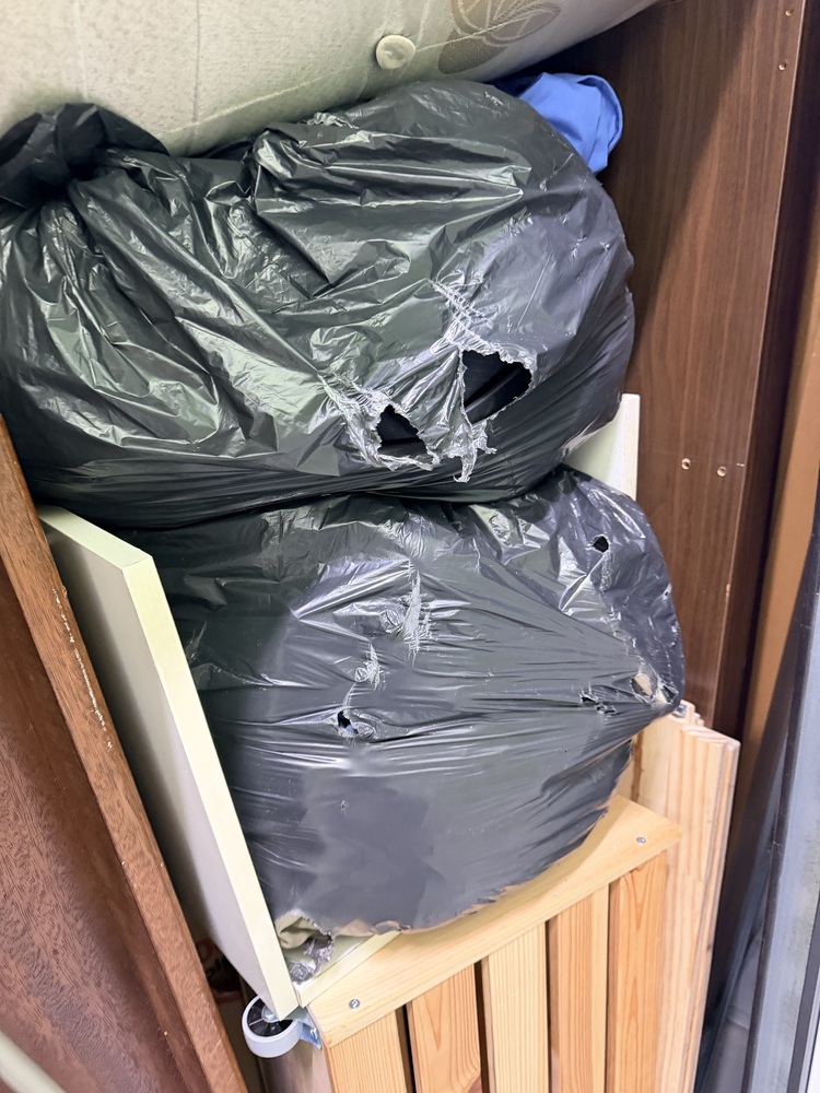 StorageMart Brighton (Crowhurst Rd) Self storage auction IB-4203