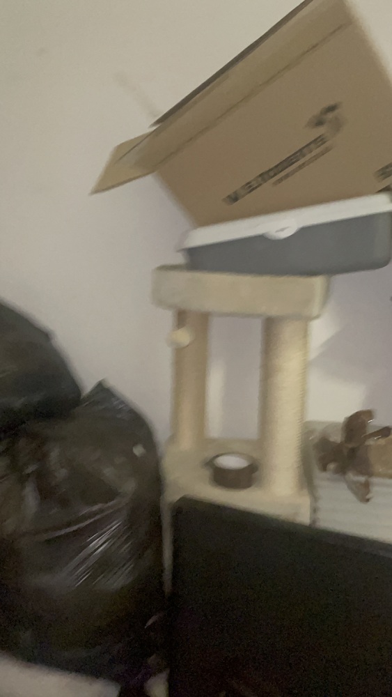 Battersea Self storage unit auction IB-7222