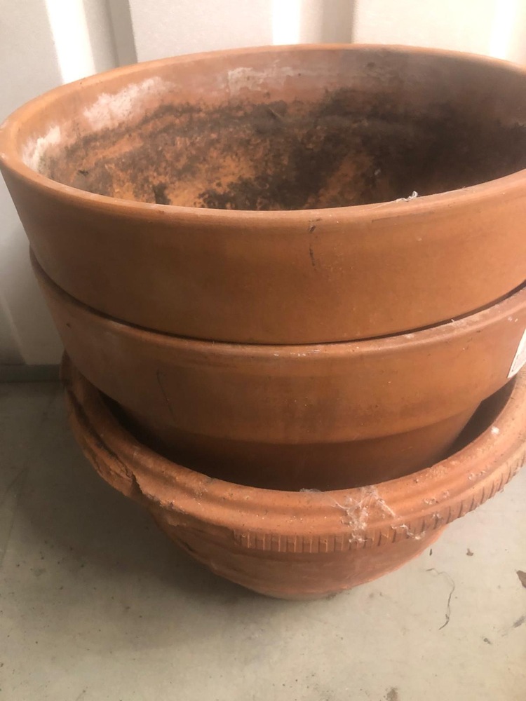 Guildford Storage auction IB-5159 30