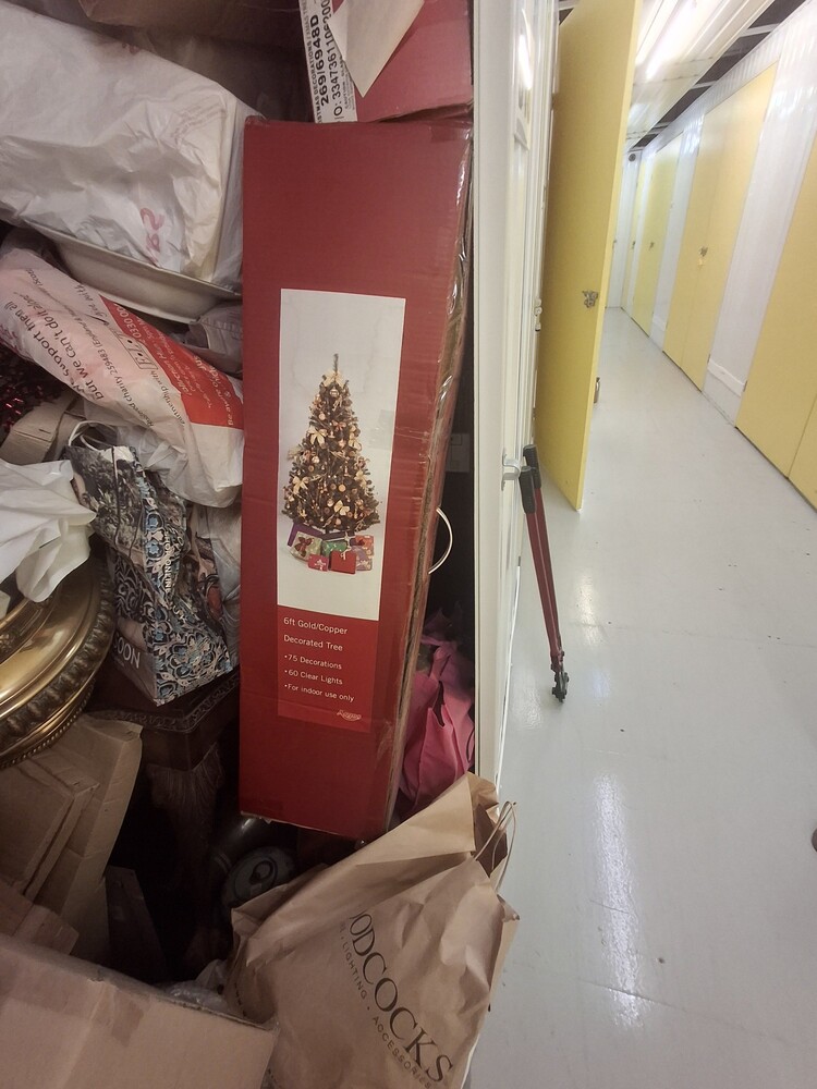 StorageMart Uckfield Self storage auction IB-3958