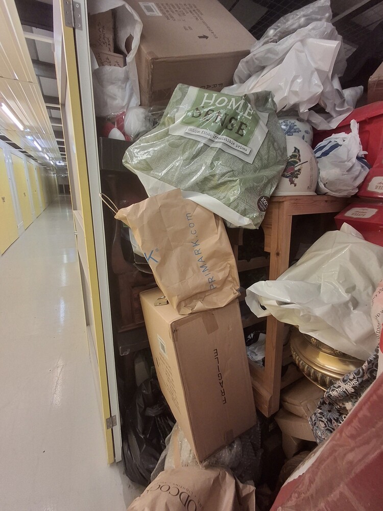 StorageMart Uckfield Storage auction IB-3958 10