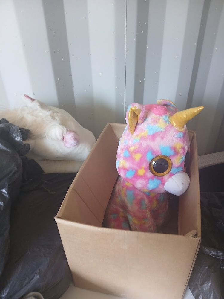 Porthmadog storage facility unit auction IB-4261