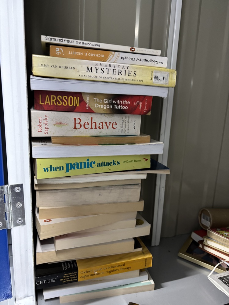 Paddington Self storage auction IB-5890