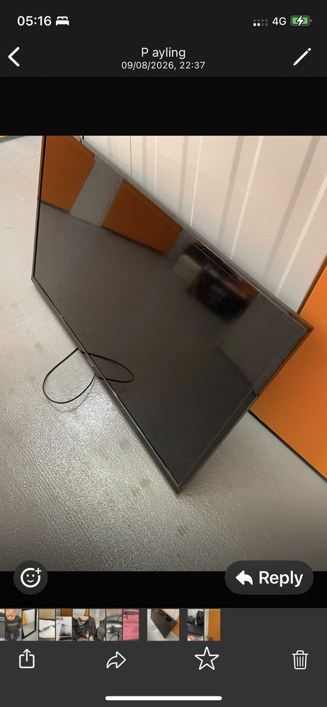 Redhill Storage auction IB-9729