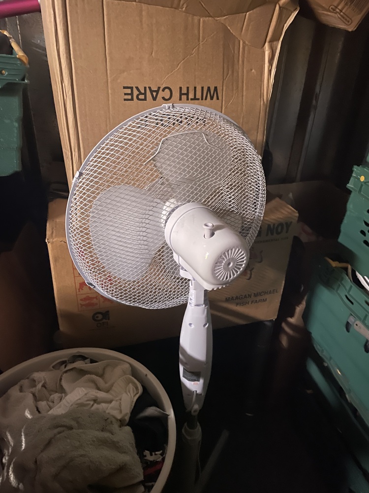 Enfield Storage auction IB-6592