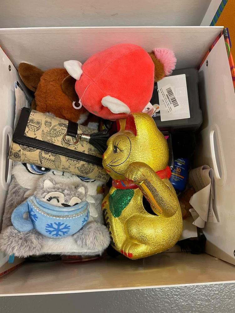 Redhill Self storage unit auction IB-4776 13