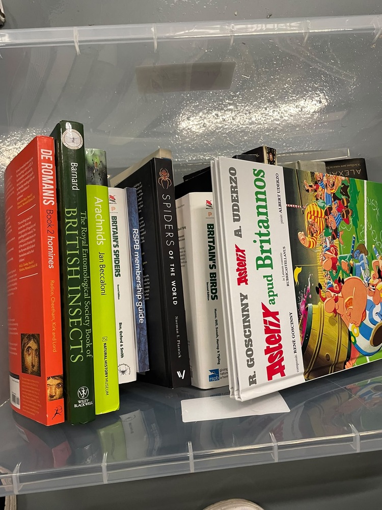 Reading Self storage auction IB-9836 24