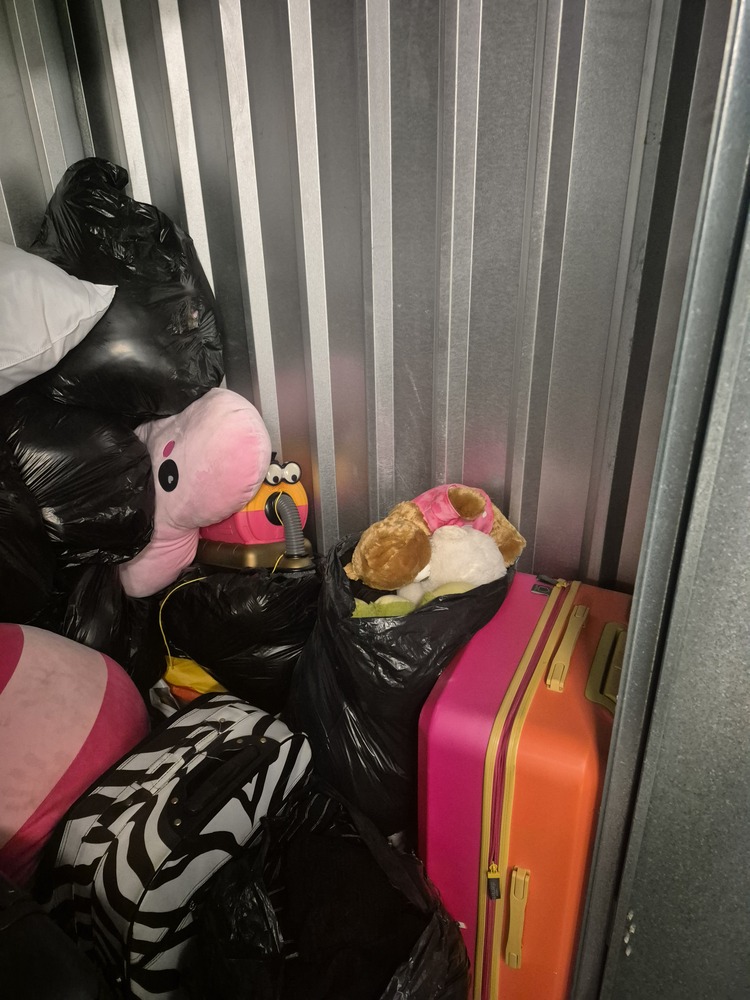 StorageMart Hassocks Storage auction IB-8554