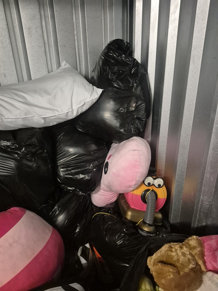 StorageMart Hassocks Storage Facility auction IB-8554