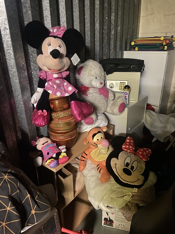 iBidOnStorage.co.uk Access Self Storage Auction 16746510249640